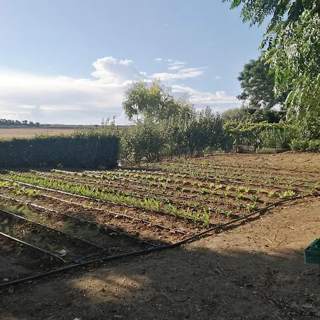 Farma Agriturismo La Sosta
