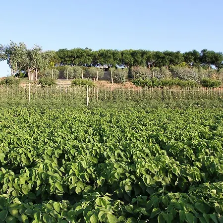 Agriturismo La Sosta Pescia Romana
